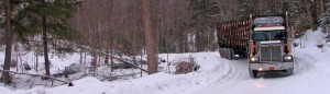 logging_truck_winter